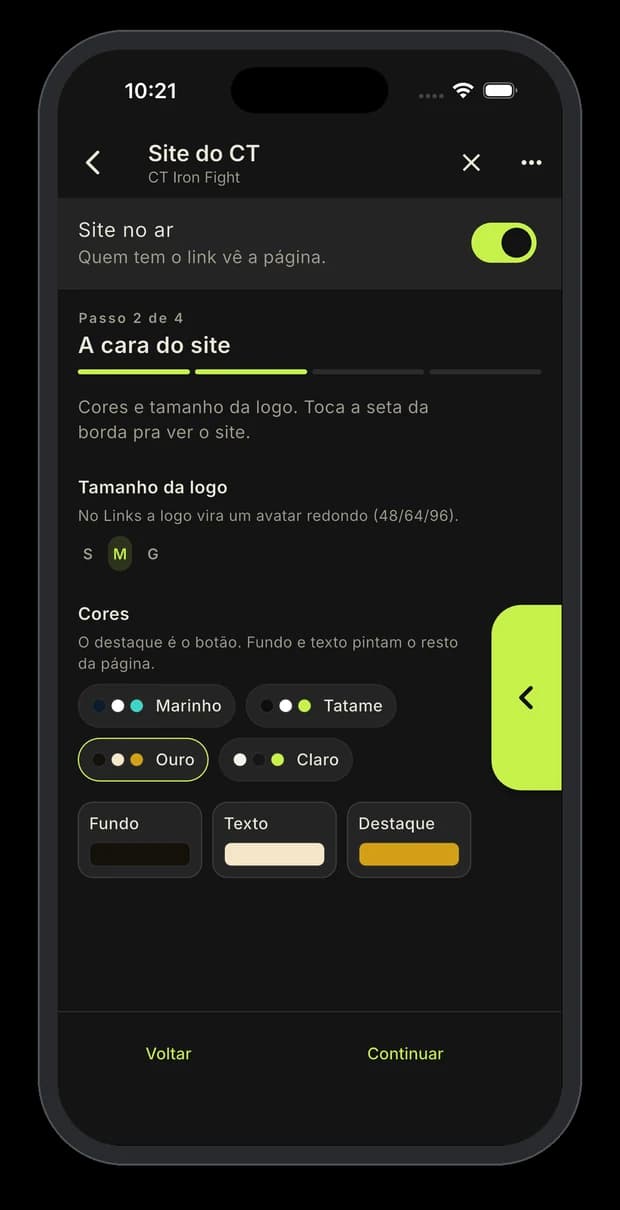 Segundo passo do site do CT, com as paletas de cor e o seletor de tamanho da logo.